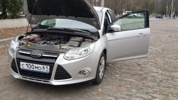Жидкость ГУРа на Focus 3 меняйте у специалистов !