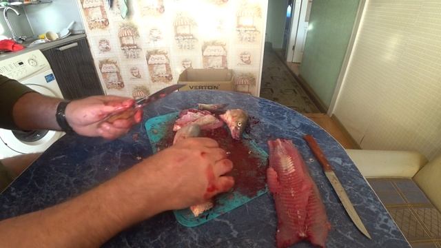 Экологические Загадки