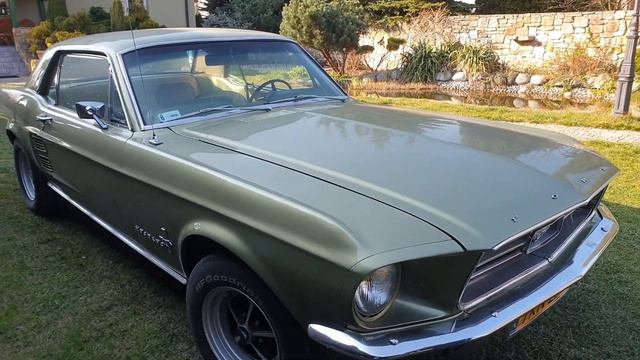 1967 Ford MUSTANG Marcin Makowski - Mustang Classic Końskie 8.04.2020 Przysucha смотреть онлайн