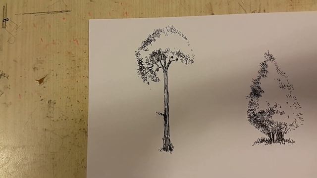 drawing trees for architectural sketches (sketchy trees) смотреть онлайн