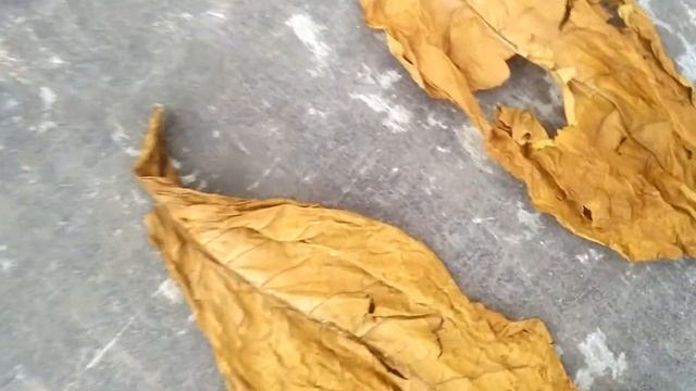 ферментация при 60 градусов смотреть онлайн