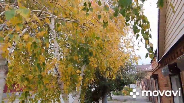 #Ейск?Идём с мамой в поликлинику сразу на 2 прививки. Жарю камбалу. Где же Лена? смотреть онлайн