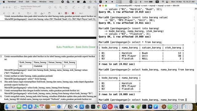 INSERT, UPDATE, DROP TABLE - BASIS DATA смотреть онлайн