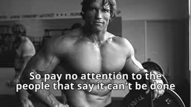 Arnold shuas negr смотреть онлайн