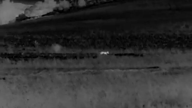 Prueba realizada con monocular termico INFIRAY AFFO AL19 desde 150 a 300 metros смотреть онлайн