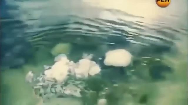 Аномалии в нашей жизни. Невероятное и загадочное смотреть онлайн