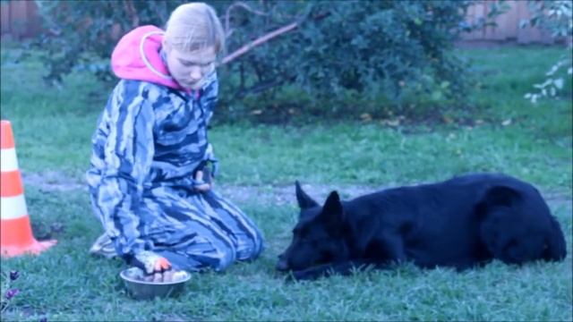 Эпика смотреть онлайн