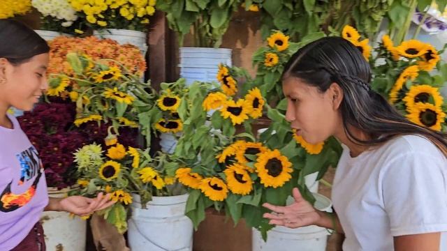 ??Abelardo Esta como loco comprando flores смотреть онлайн