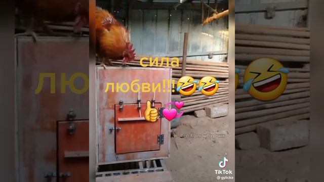Сила любви.mp4 смотреть онлайн
