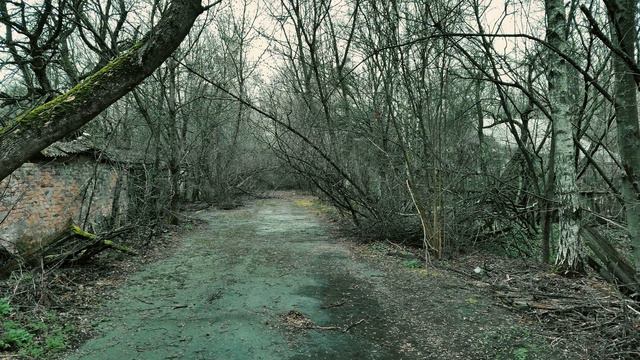 Robert Rich – Perpetual (Part 5 Of 6)