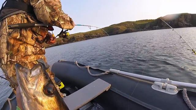 За трофеем в атлантический океан.Ловля сайды.Donegal fishing смотреть онлайн