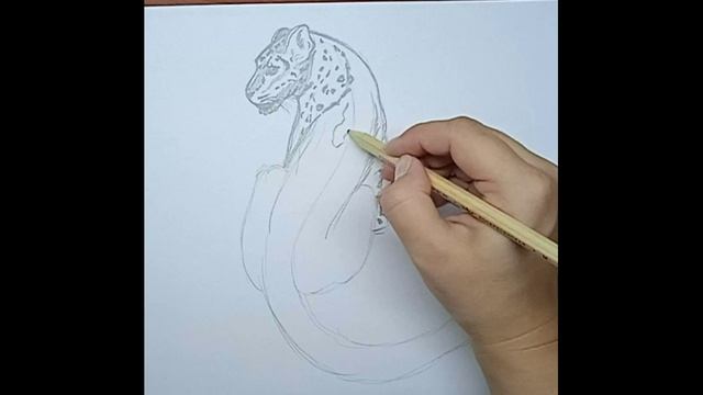 Как нарисовать снежного барса // How to draw a snow leopard \\ Снежный барс смотреть онлайн