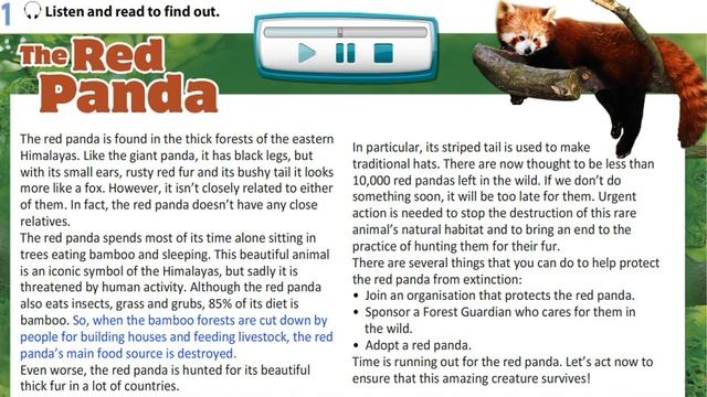 The Red Panda (Text) Excel 8 Module 6 смотреть онлайн
