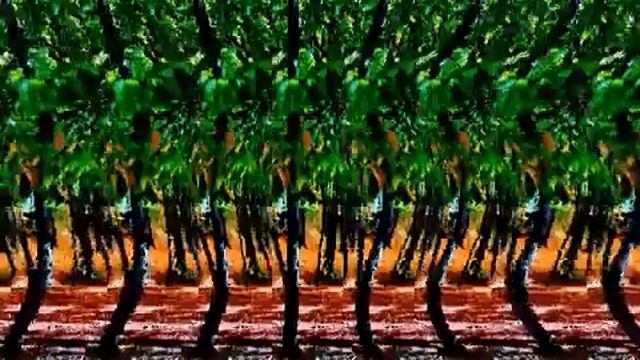 Стереокартинки движутся смотреть онлайн