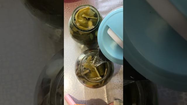 Банка жабу. Маринадталған қиярды қалай сақтаймыз? Қияр жабу смотреть онлайн