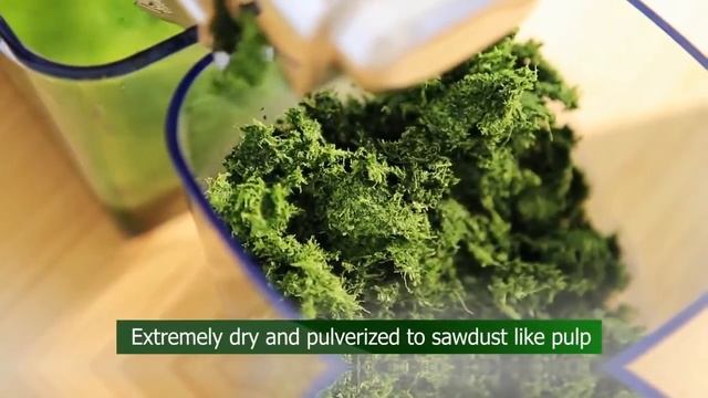 Angel Juicer 5500, 7500 & 8500 Demonstration смотреть онлайн