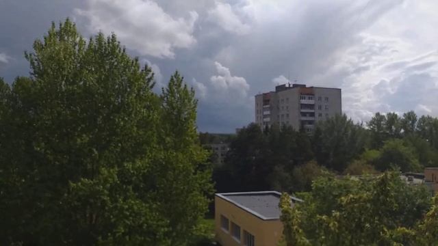 Ждет птенец чаек родителя с едой смотреть онлайн