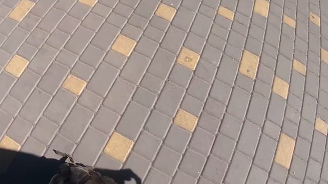 ЗАРАБОТАЛА 100.000 ПРОДАВАЯ ГРЯЗЬ ИЗ ЛУЖИ смотреть онлайн