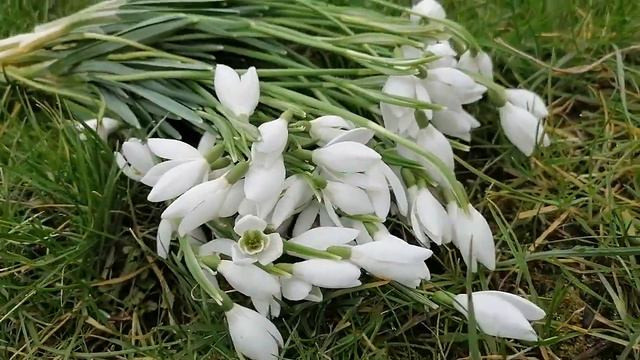 15 февраля. Отправить смотреть онлайн
