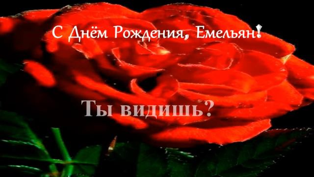 Смешное поздравление. С Днём Рождения, Емельян! смотреть онлайн