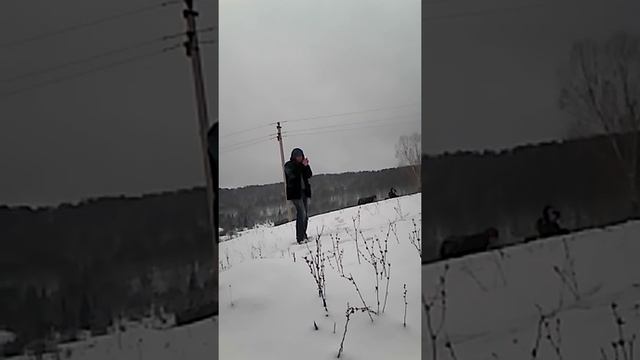 Видео с горящим автобусом из Марий Эл смотреть онлайн
