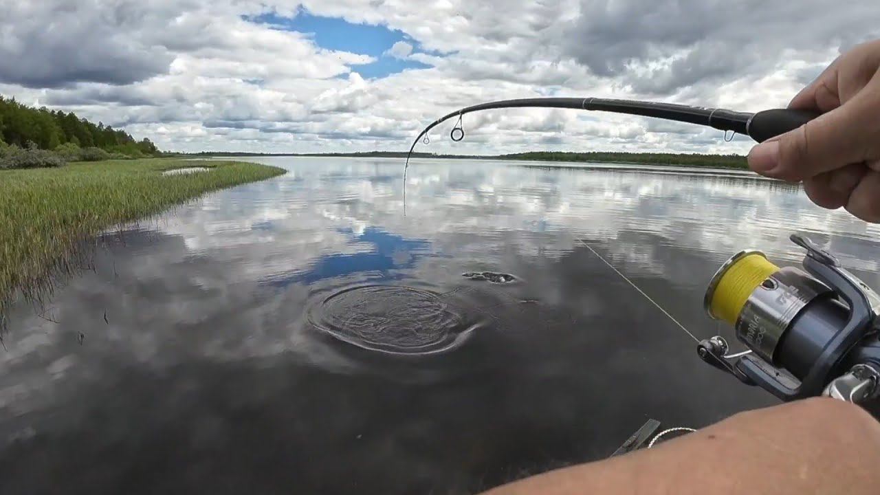 НА КАЖДОМ ЗАБРОСЕ РЫБА #рыбалка #щука #спиннинг #fishing #pike #pikefishing