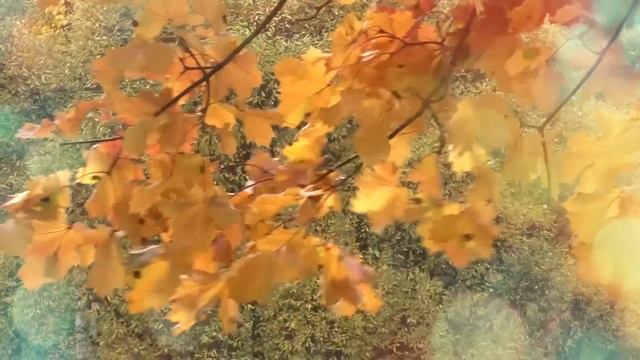 Анатолий и Дарья смотреть онлайн