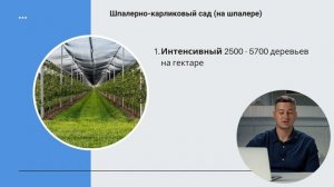 Яблоневый сад / Типы садов / Как заработать ?