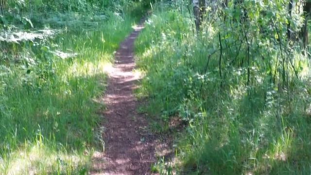 Моменты СЕЗОНА/Honda CBR954RR Fireblade смотреть онлайн