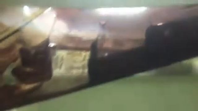 Аквапринт под дерево, процесс нанесения на автомобильные детали смотреть онлайн