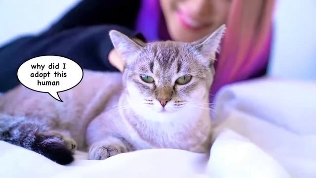 20 СОВЕТОВ как БЫСТРЕЕ ЗАСНУТЬ ВЕНЖИ Wengie На русском