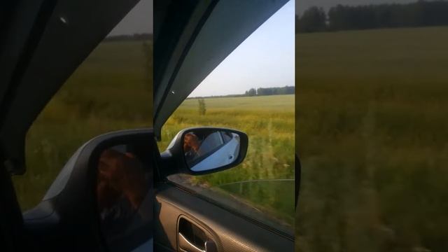 СКО дорога Успенки смотреть онлайн