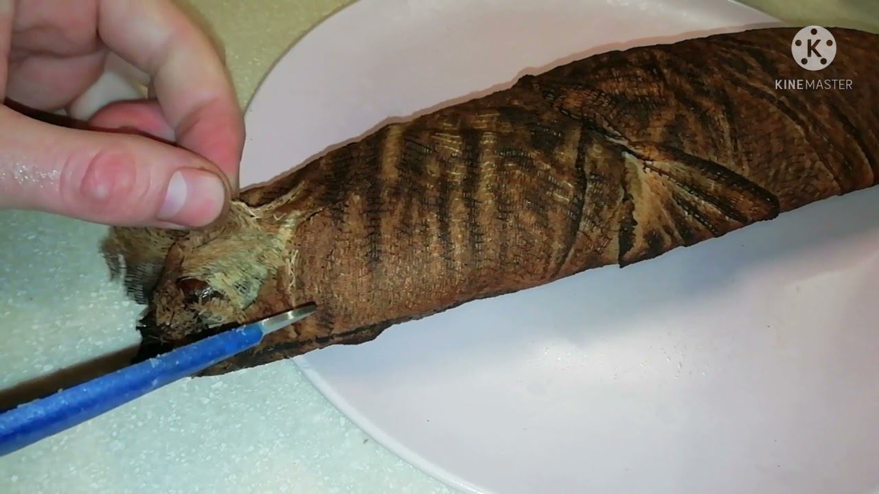 Замотали горбушу в Бинт, и закоптили горячим копчением!!! смотреть онлайн