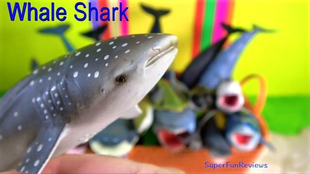Sea Animals - Sharks Whales Fish 13+