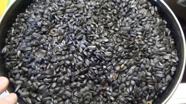 Жарим семечки в печке simfer смотреть онлайн