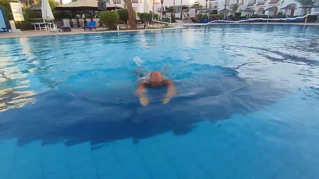 Я и бассейн. (Египет отель  DIVE INN  RESORT 4*)
