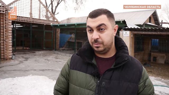 Челябинские зоозащитники спасли медведицу Софу смотреть онлайн