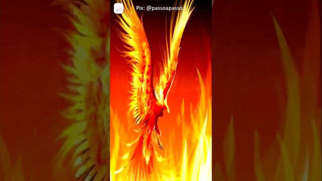 Plínio, o Velho, o grifo, o centauro e a fênix #lendas #curiosidades #fenix #grifo #viral смотреть онлайн