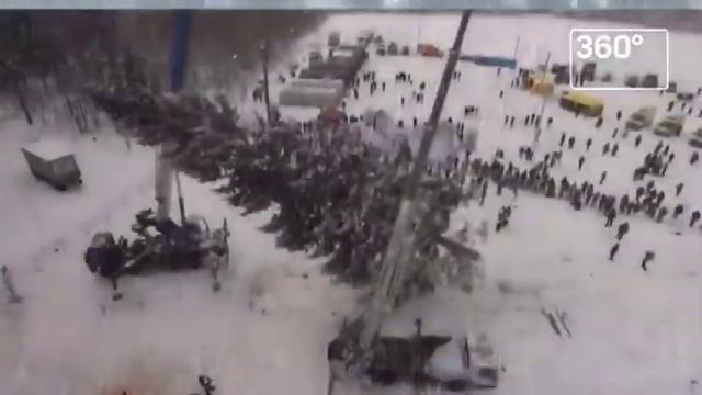 Не рубите елки в Новый год, откажитесь от традиции веселиться и танцевать вокруг умирающего дерева. смотреть онлайн