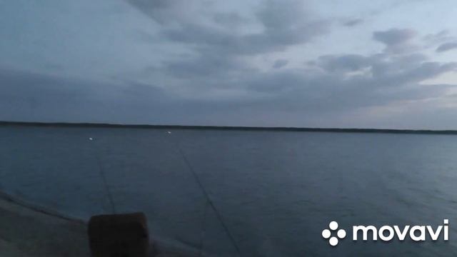 Озеро Байнауш июнь 2021г. смотреть онлайн