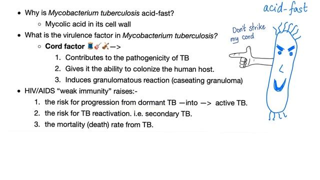 Tuberculosis (TB) [formerly Phthisis Pulmonalis] | Respiratory Pathology смотреть онлайн