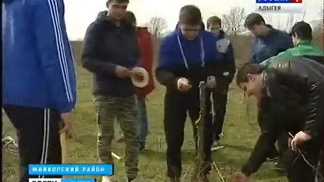 Реализация проекта «Историческая реконструкция старых черкесских садов» 24.03.2016 смотреть онлайн