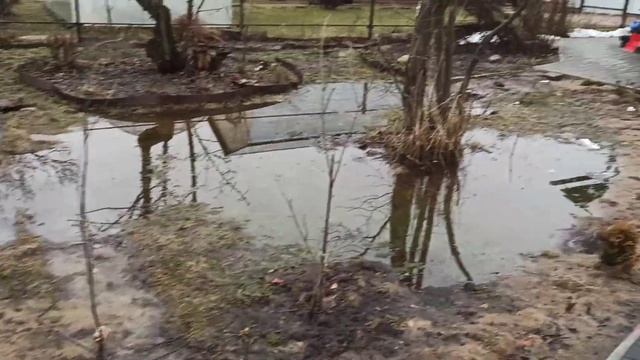 Обзор дачного участка в марте. Обшивка дома смотреть онлайн