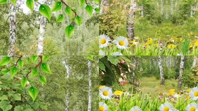 Бесплатный 3 D проект для Прошоу Продюсер смотреть онлайн