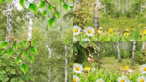 Бесплатный 3 D проект для  Прошоу Продюсер