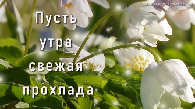 С прекрасным утром четверга! Доброго четверга смотреть онлайн