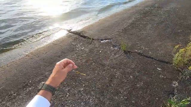 Засудачило!!! Ловля СУДАКА! (Киевское водохранилище, 2020) смотреть онлайн