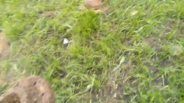 Копаем Лом ч. 3 с новым МД. смотреть онлайн
