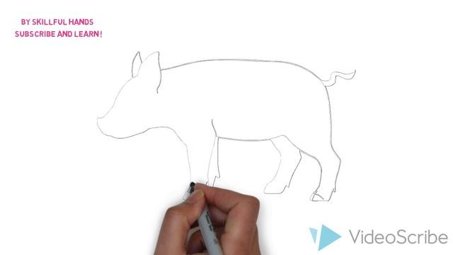How to Draw a Pig / Как нарисовать свинью смотреть онлайн