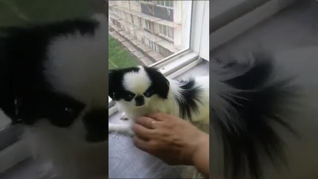 Юки дочь Нами в Якутии живёт смотреть онлайн